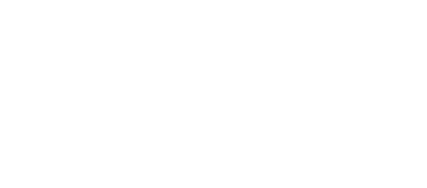 Dominique Dawes Gymnastics Academy 